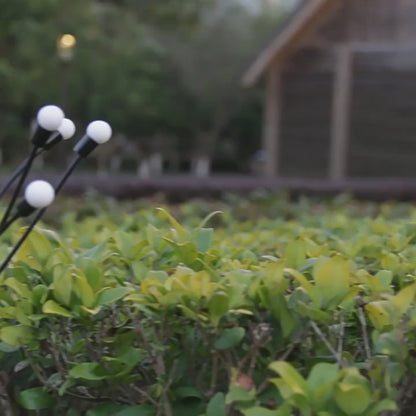 Twinkling Firefly LED Solar Lights